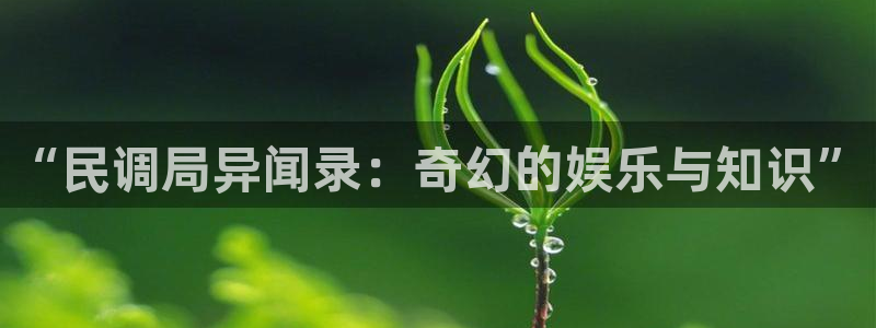 惊爆草莓樱花动漫：“民调局异闻录：奇幻的娱乐与知识”
