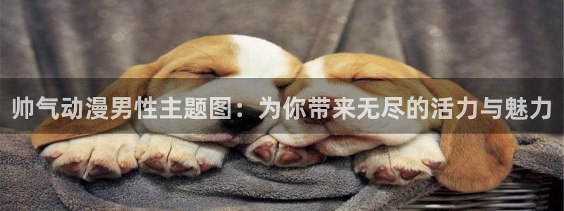 k动漫樱花动漫免费观看：帅气动漫男性主题图：为你带来无尽的活力与魅力