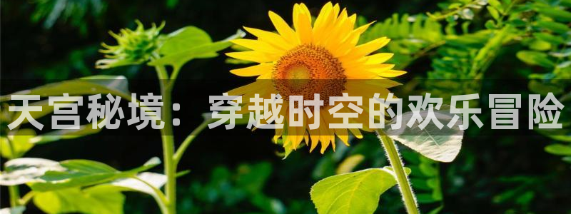 樱花动漫网官网是哪个软件：天宫秘境：穿越时空的欢乐冒险